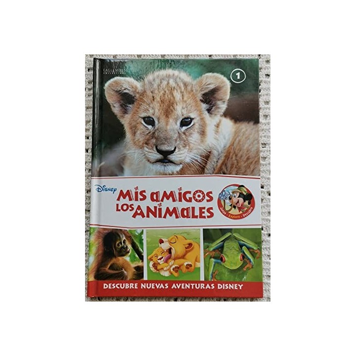 MIS AMIGOS LOS ANIMALES. Cachorros de Leon. Orangutanes. ranitas de ojos rojos